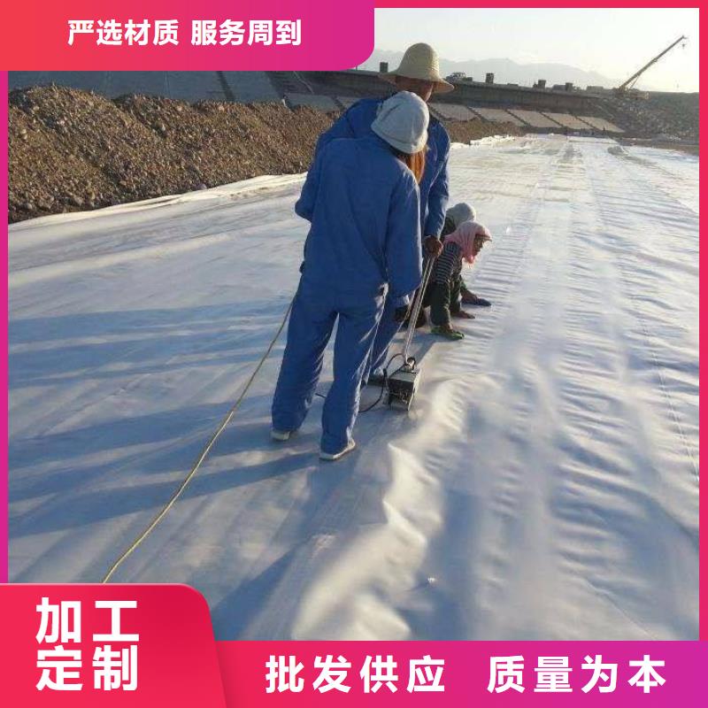 复合土工膜三维复合排水网追求品质