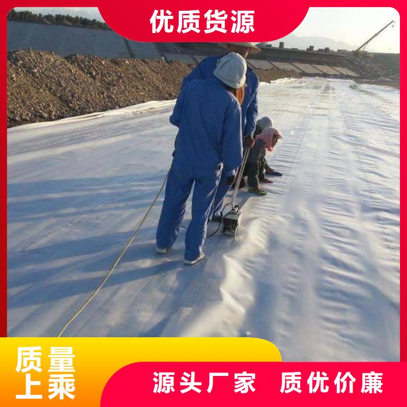 复合土工膜PVC防水卷材免费获取报价