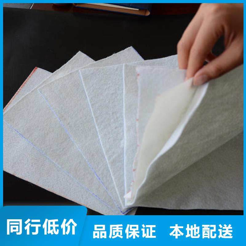 復(fù)合土工膜土工布廠家工藝先進(jìn)