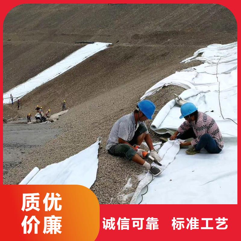 复合土工膜三维复合排水网免费寄样