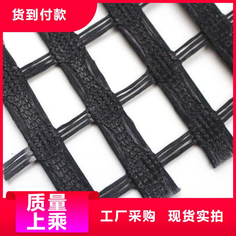 涤纶土工格栅复合土工膜实力厂家
