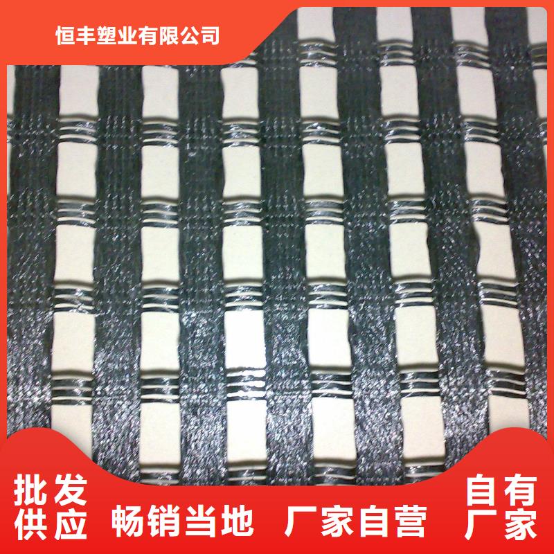 涤纶土工格栅复合土工膜实力厂家