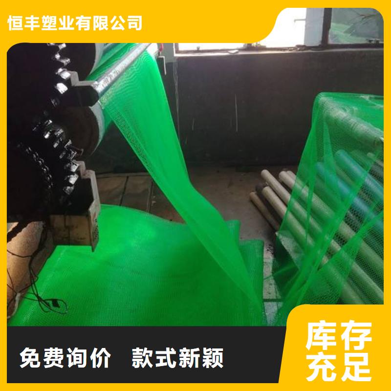 三維植被網(wǎng)塑料土工濾網(wǎng)貨品齊全