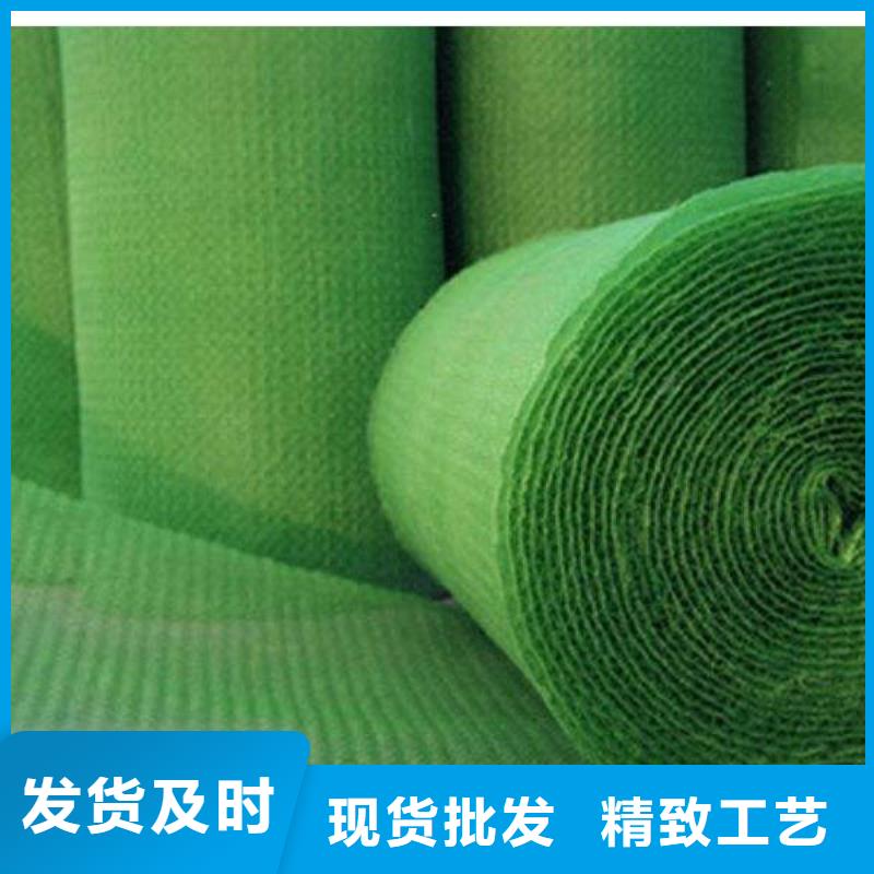 三維植被網(wǎng),軟式透水管快速報價