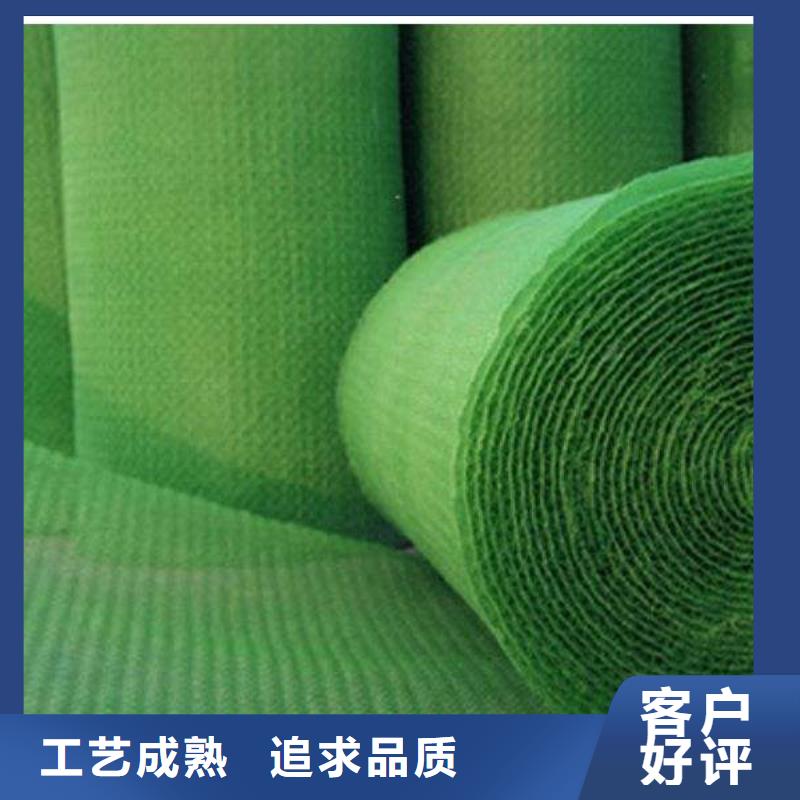 三维植被网hdpe复合膜随到随提