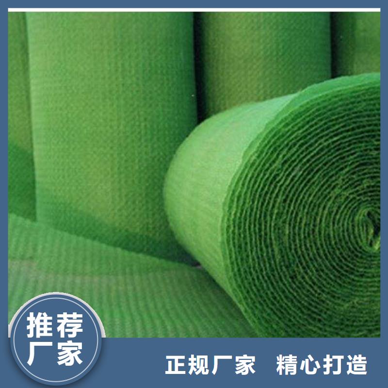 三維植被網(wǎng)護(hù)坡土工網(wǎng)現(xiàn)貨銷售