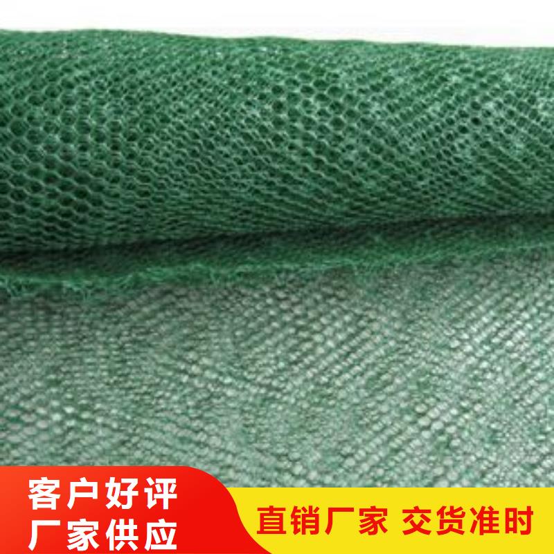 三维植被网护坡土工网现货销售