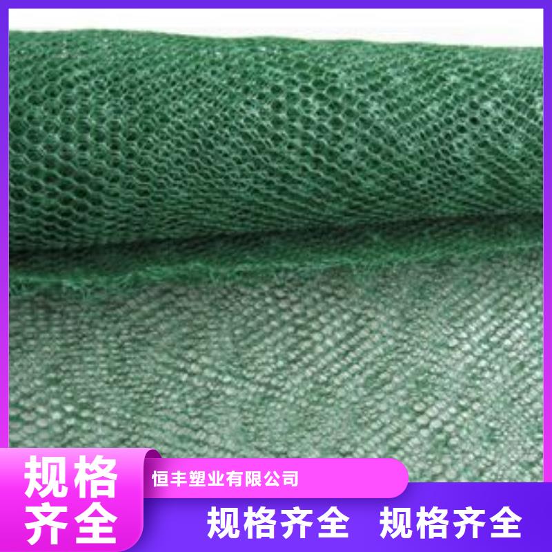三维植被网hdpe复合膜随到随提