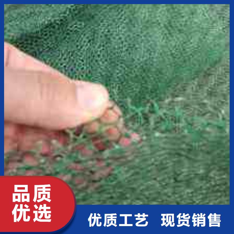 三維植被網(wǎng)護(hù)坡土工網(wǎng)現(xiàn)貨銷售