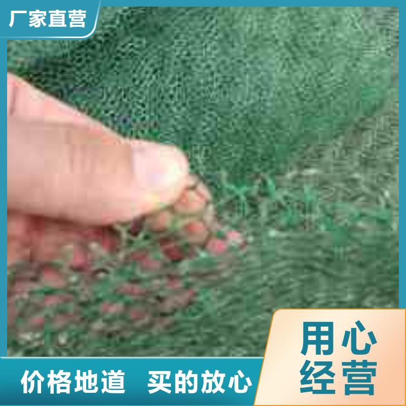 三维植被网复合土工膜品质优选