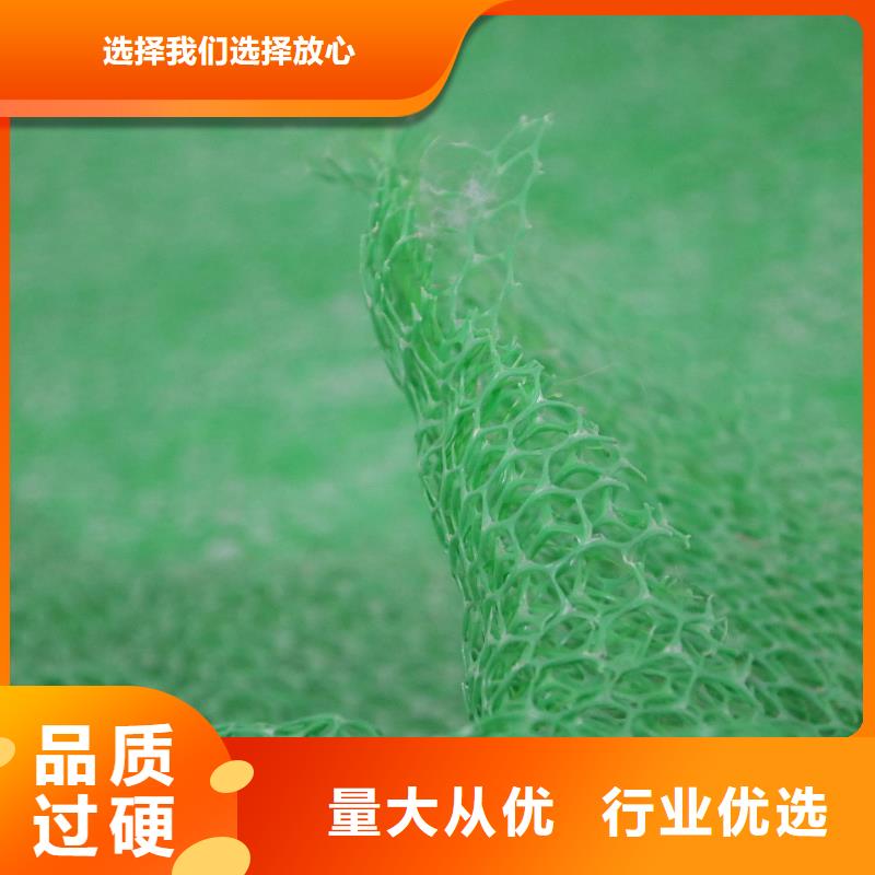 三維植被網(wǎng)復(fù)合土工膜品質(zhì)優(yōu)選