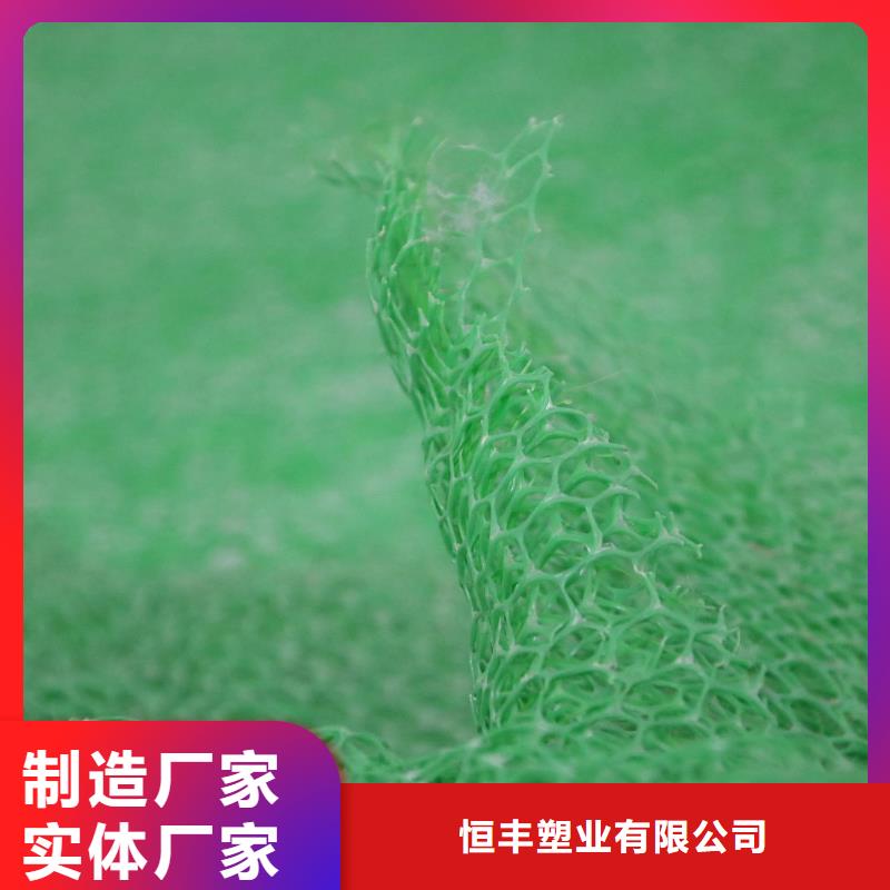 三維植被網(wǎng)hdpe復(fù)合膜隨到隨提