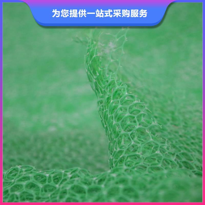 三維植被網(wǎng)hdpe復(fù)合膜隨到隨提