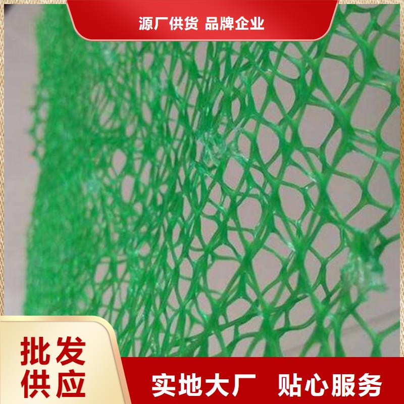 三维植被网-三维复合排水管