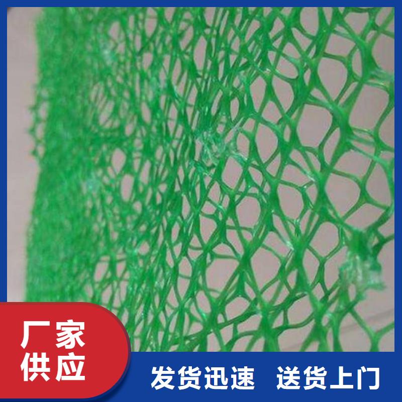 三維植被網(wǎng)塑料土工濾網(wǎng)貨品齊全