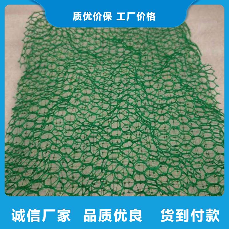 三維植被網(wǎng)塑料土工濾網(wǎng)貨品齊全