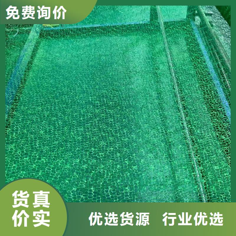 三維植被網(wǎng)護(hù)坡土工網(wǎng)現(xiàn)貨銷售