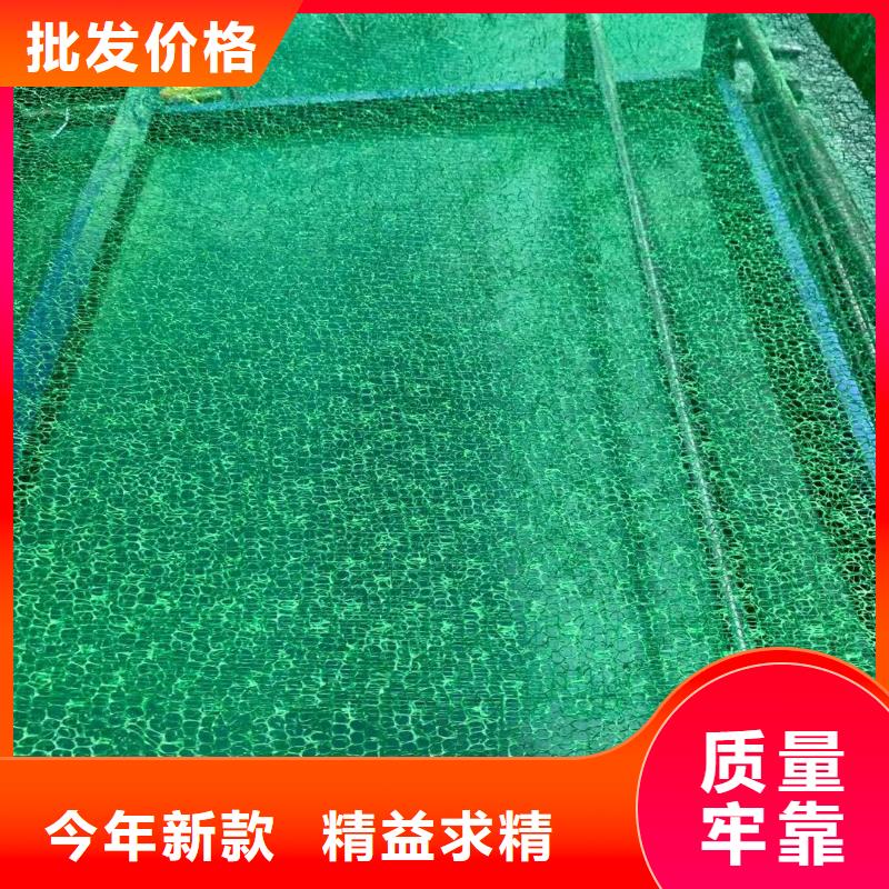 三維植被網(wǎng)hdpe復(fù)合膜隨到隨提