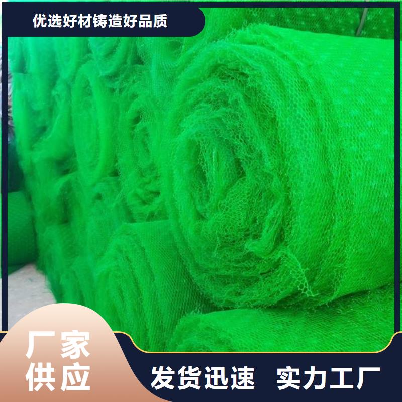 三維植被網(wǎng),軟式透水管快速報價
