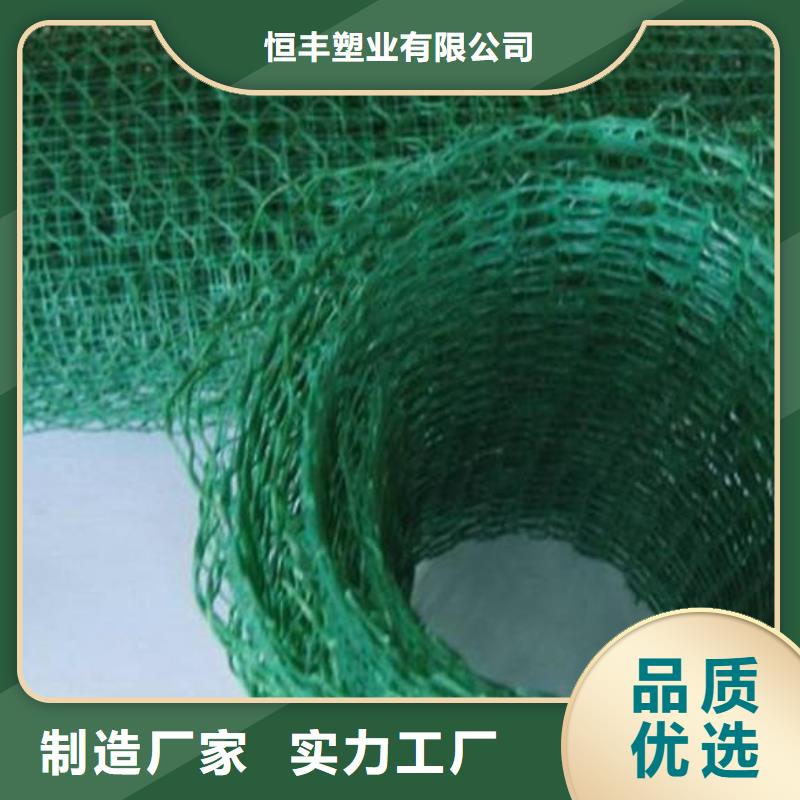三維植被網(wǎng)三維土工網(wǎng)墊對質(zhì)量負(fù)責(zé)