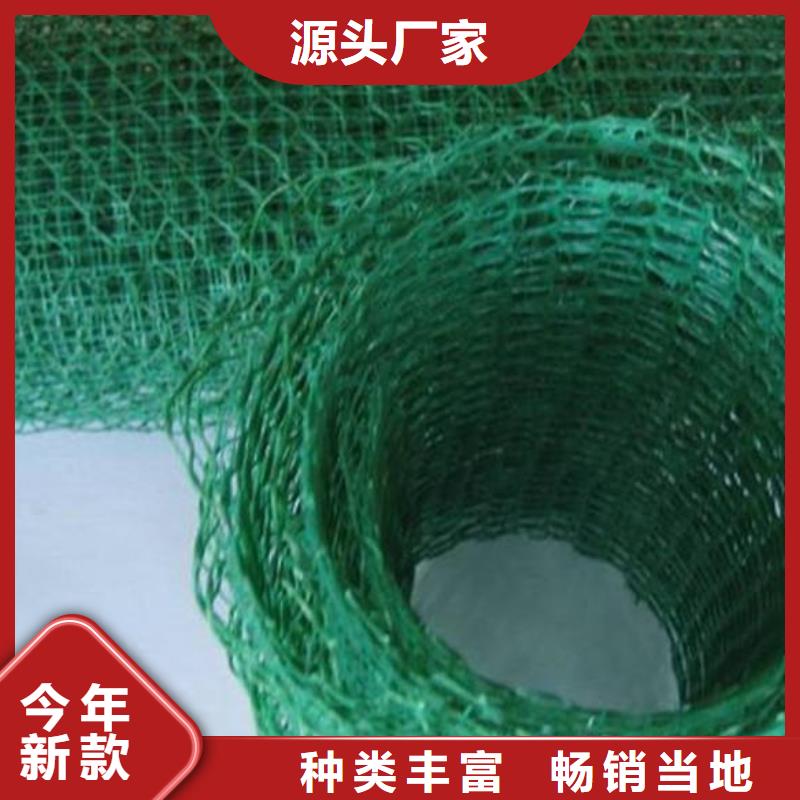 三維植被網(wǎng)hdpe復(fù)合膜隨到隨提