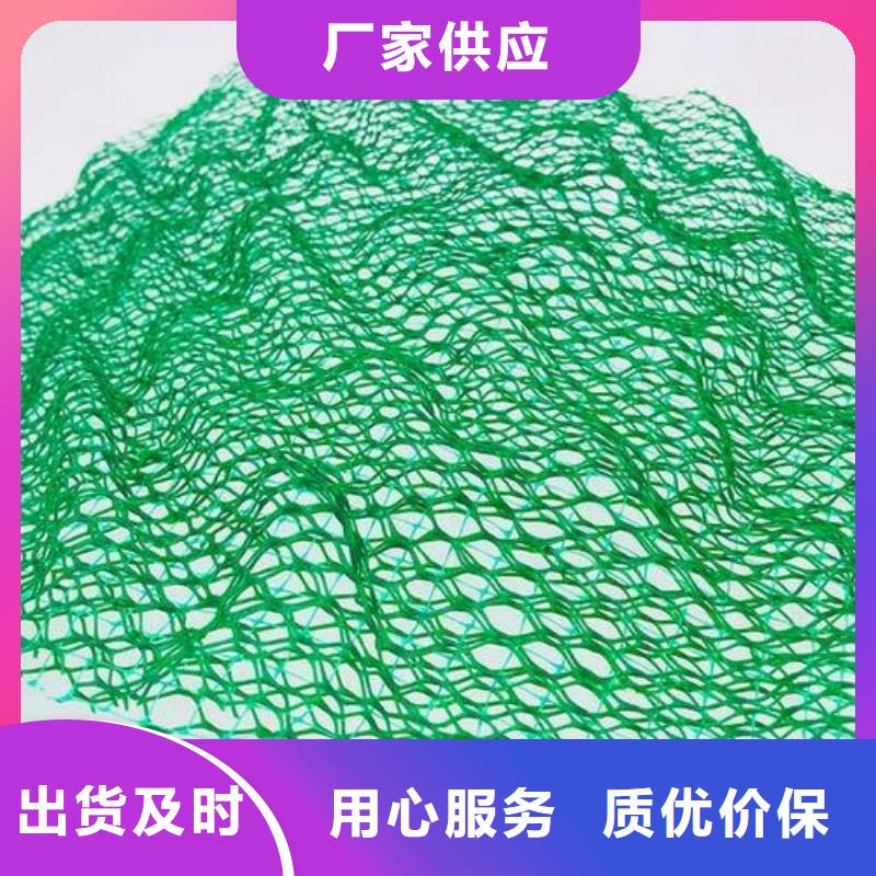 三維植被網(wǎng)聚乙烯土工膜現(xiàn)貨齊全售后無憂