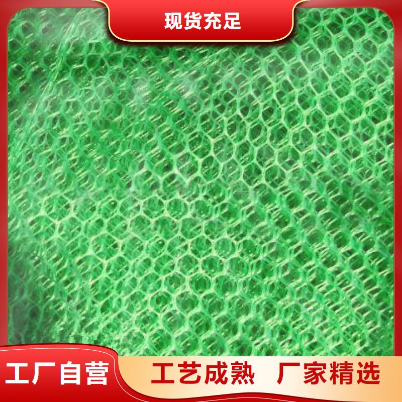 三維植被網(wǎng)土工格室實(shí)力優(yōu)品