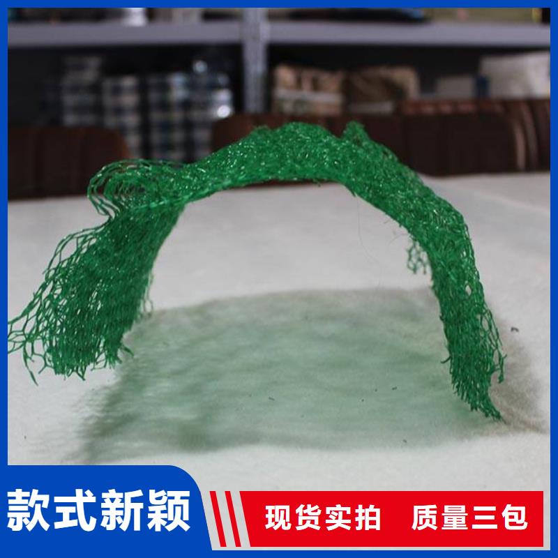 三维植被网-三维复合排水管