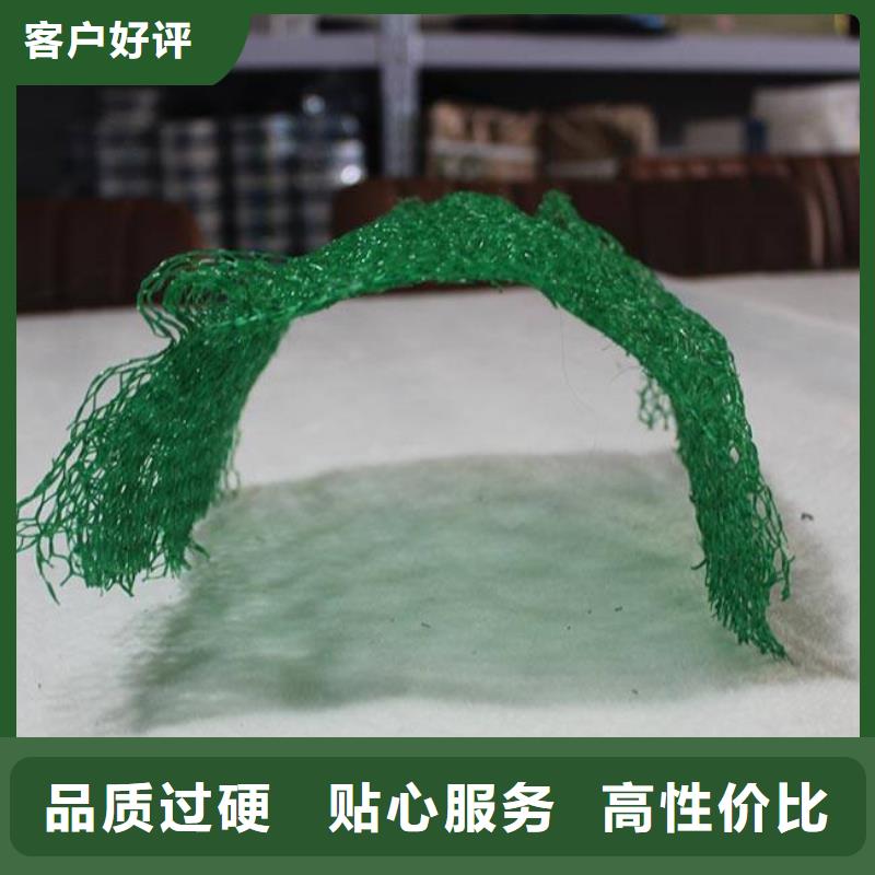 三维植被网三维土工网垫对质量负责