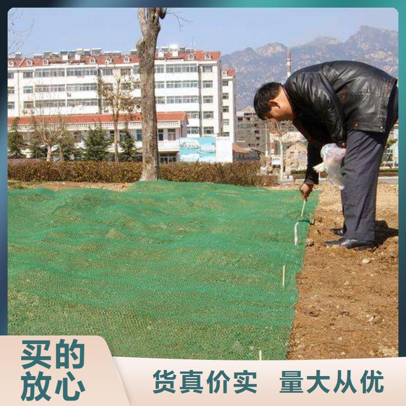 三維植被網(wǎng)三維土工網(wǎng)墊對質(zhì)量負(fù)責(zé)