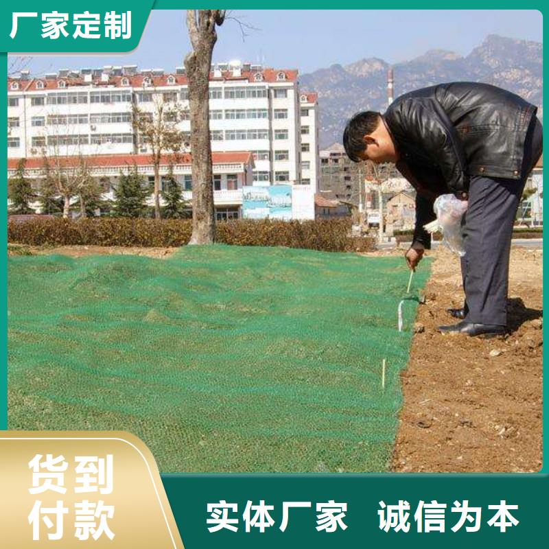 三维植被网复合土工膜品质优选