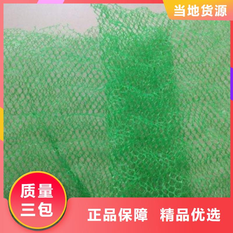 三維植被網(wǎng)hdpe復(fù)合膜隨到隨提