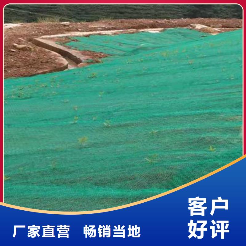 三維植被網(wǎng)hdpe復(fù)合膜隨到隨提