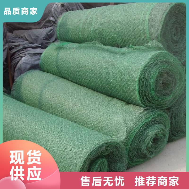 三維植被網(wǎng)hdpe復(fù)合膜隨到隨提