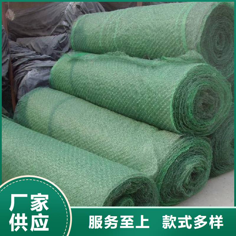 三維植被網(wǎng)土工格室實(shí)力優(yōu)品
