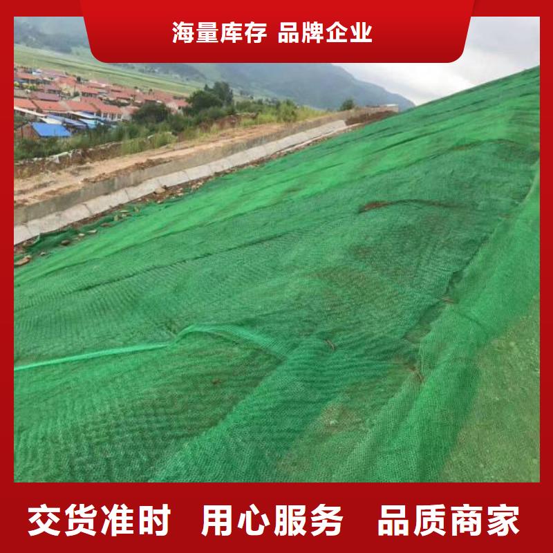 三維植被網(wǎng)復(fù)合土工膜品質(zhì)優(yōu)選