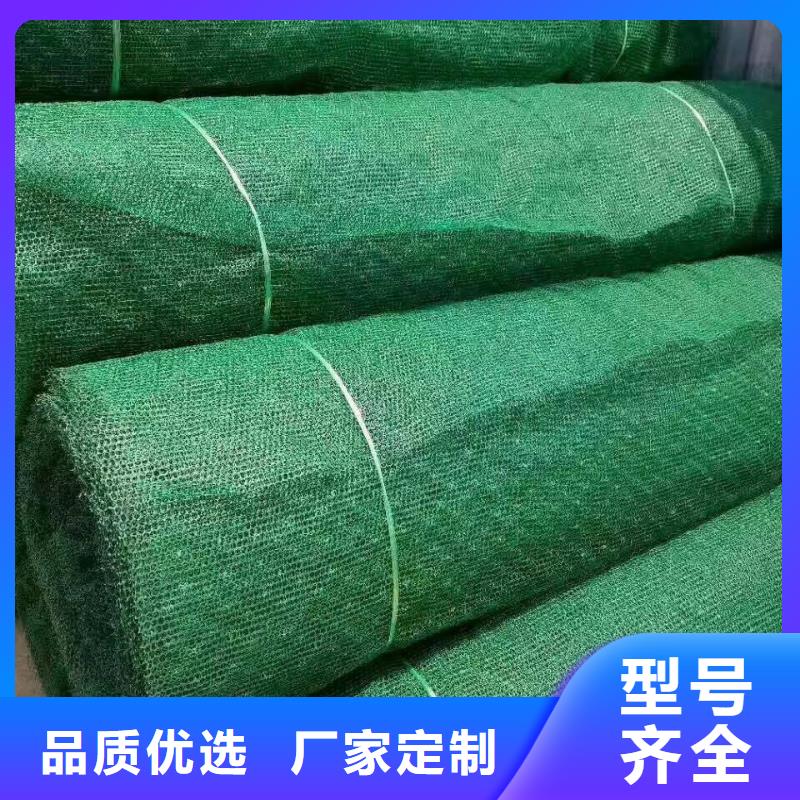 三維植被網(wǎng)hdpe復(fù)合膜隨到隨提