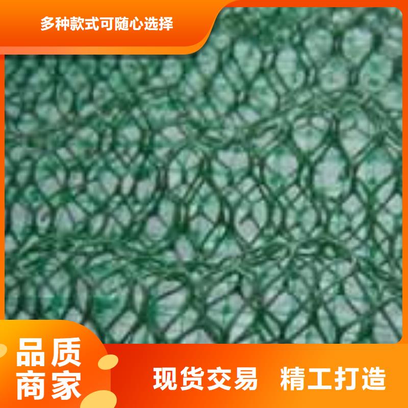 三维植被网-三维复合排水管