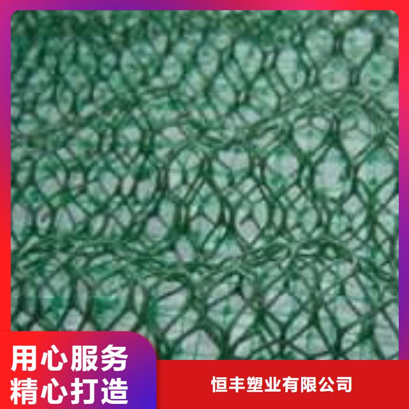 什么是三維植被網(wǎng),有什么特點(diǎn)