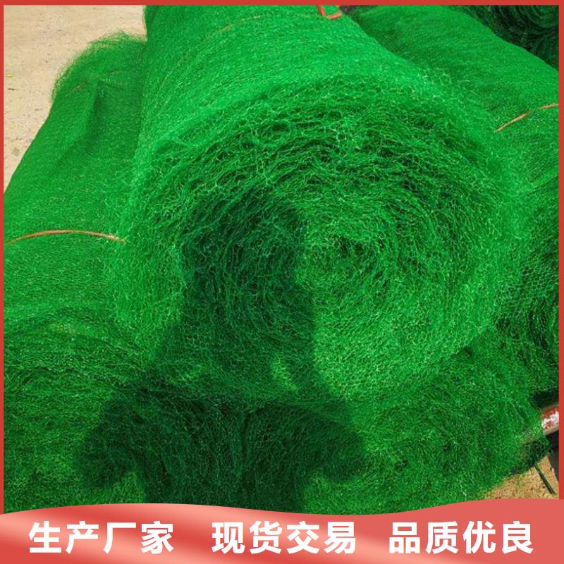 三維植被網(wǎng)護(hù)坡土工網(wǎng)現(xiàn)貨銷售