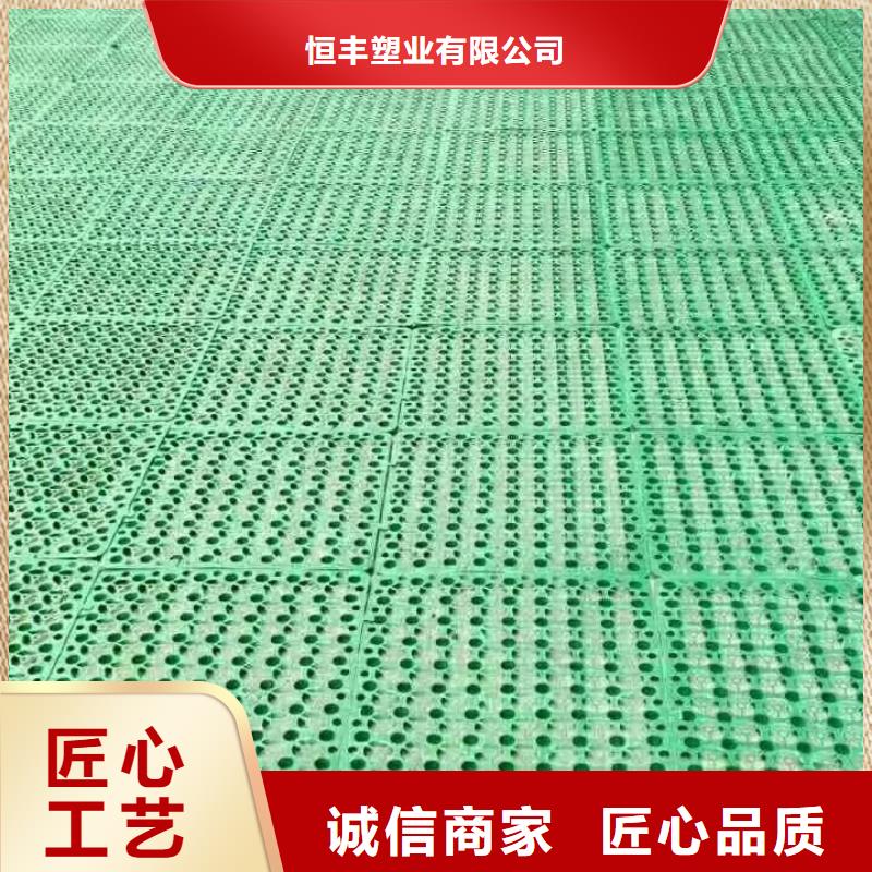 三維植被網(wǎng)塑料土工濾網(wǎng)貨品齊全