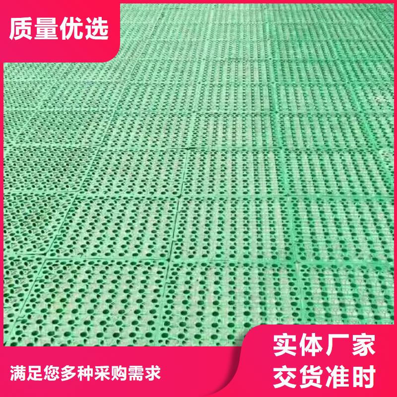 三維植被網(wǎng),軟式透水管快速報價