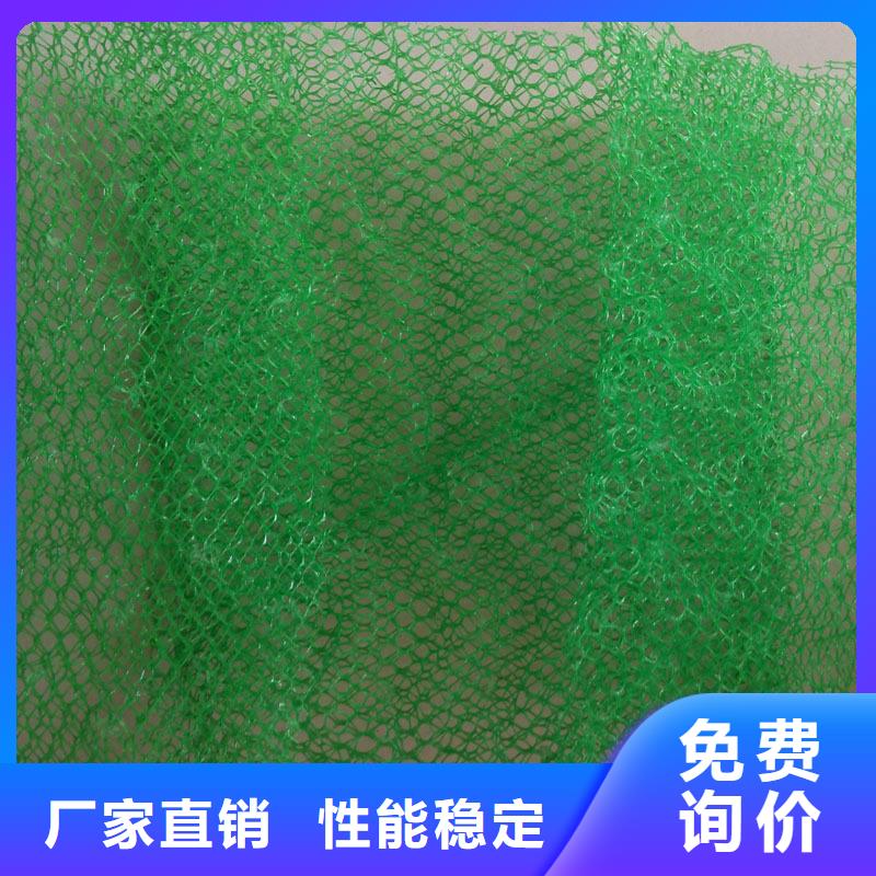 三維植被網(wǎng)土工格室實(shí)力優(yōu)品
