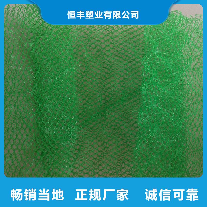 三維植被網(wǎng),軟式透水管快速報價