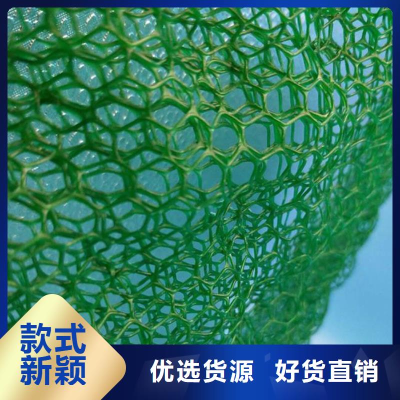 三维植被网复合土工膜品质优选