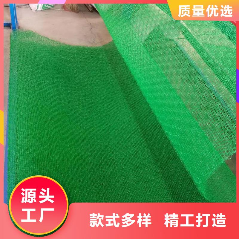 三维植被网护坡土工网现货销售
