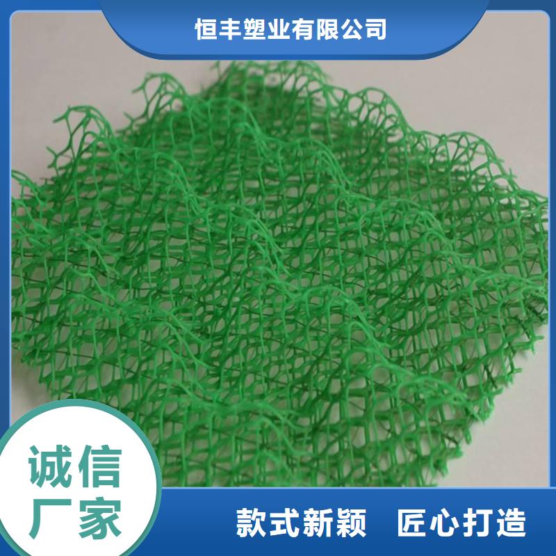 三维植被网复合土工膜品质优选