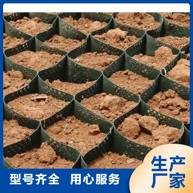 土工格室长丝土工布支持非标定制