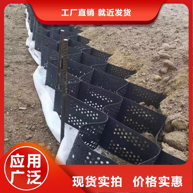 土工格室【三维土工网垫】本地厂家值得信赖