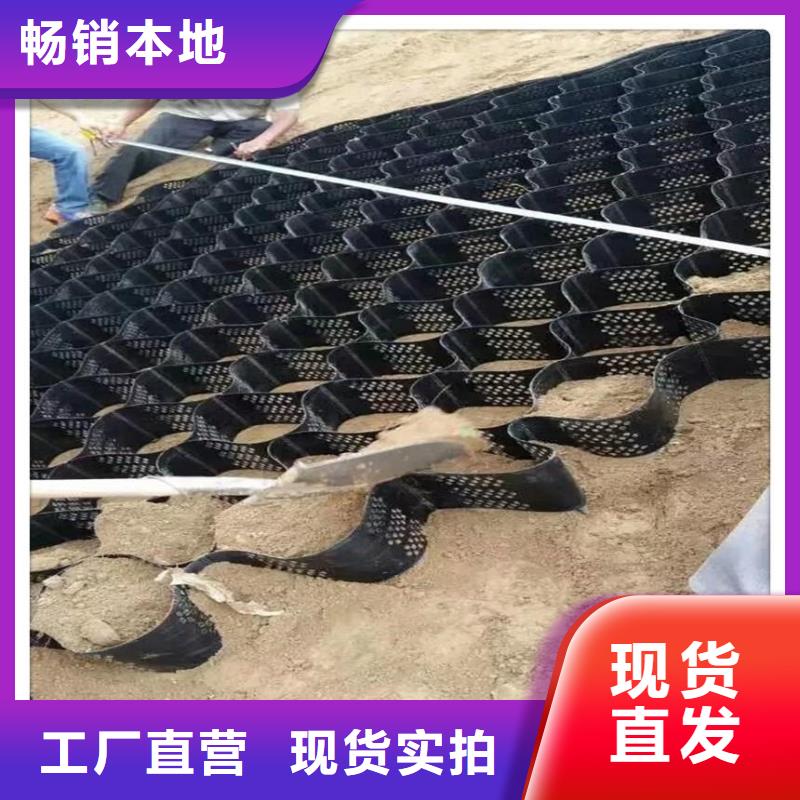 土工格室【三維土工網(wǎng)墊】本地廠家值得信賴